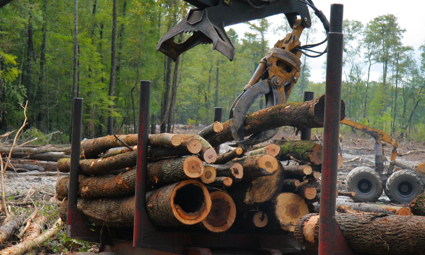 Swamp Loggers Quest Television Network